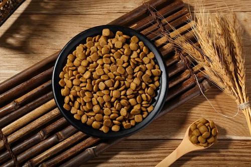 狗粮测评，6款热门狗粮怎么选？