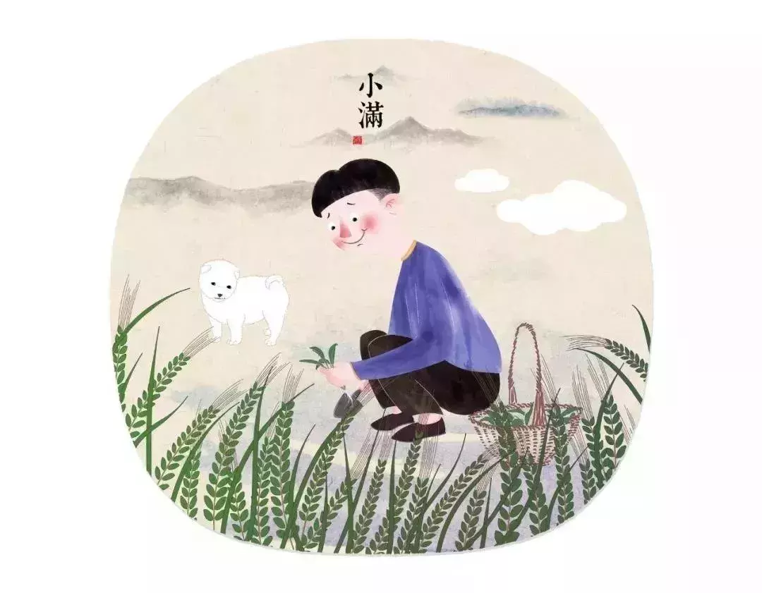 小满物语丨将满未满,知足常乐