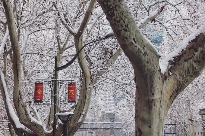 南京下了雪啊，就成了金陵！南京三日游记