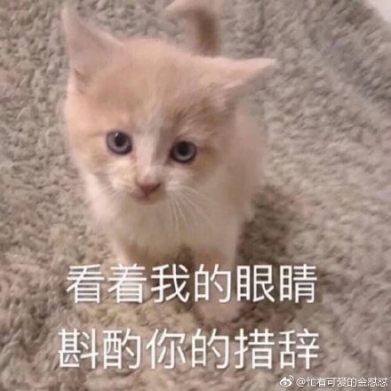 猫咪表情包：骗你是小猫