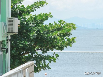 分手说说潇洒霸气的那种