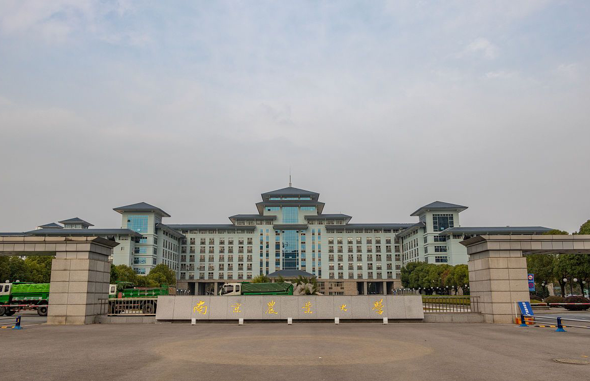 南京市10所大学名校：7所进全国软科前50，南农4个A+学科