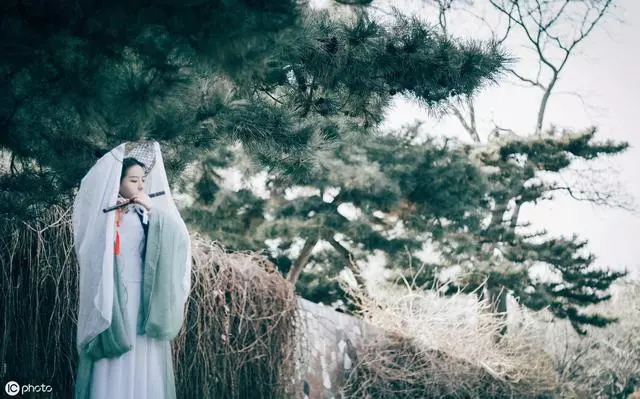 大文豪苏轼诗词集，每一首都是经典！