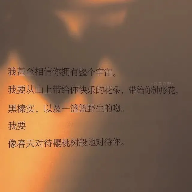 关于少年的句子「No.354」