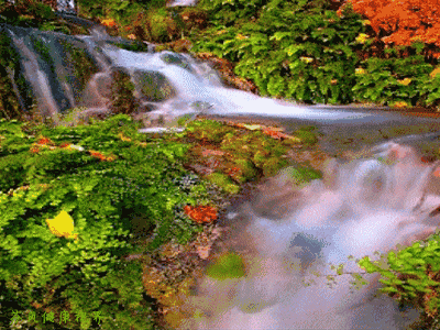 快来向水学习！