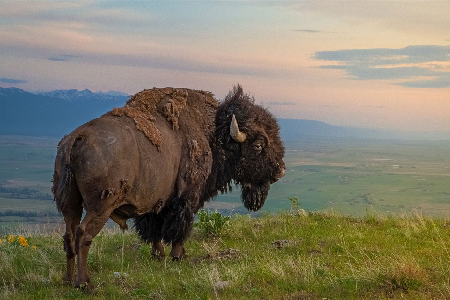 这，可能是世界上最贵的坑