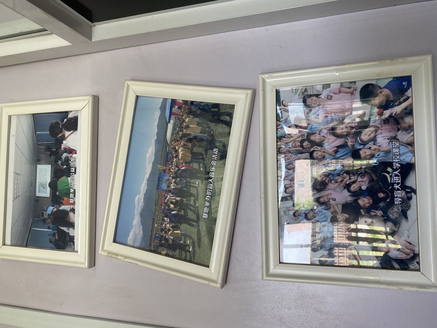 什么是2000万人关注的导盲犬基地？在这里，狗和志愿者才是主角