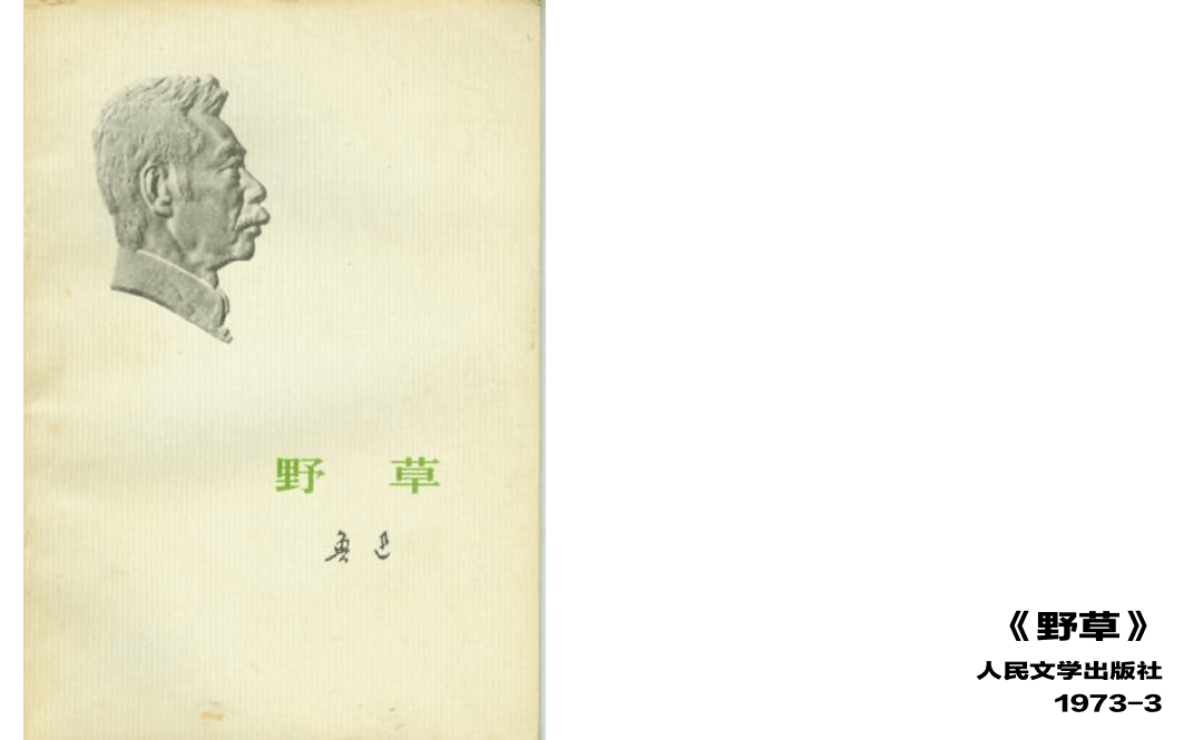 我们这个时代若在鲁迅看来，一定乏味得无可救药
