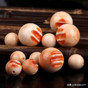 这4种能做珠宝的贝壳你都认识吗？贝壳珠宝大盘点第2弹