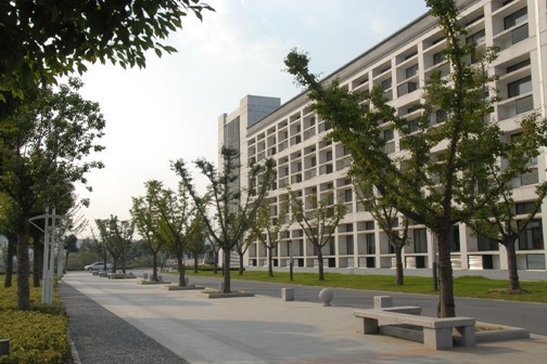 一张16省美术类录取成绩表，泄露了一所大学的办学综合实力