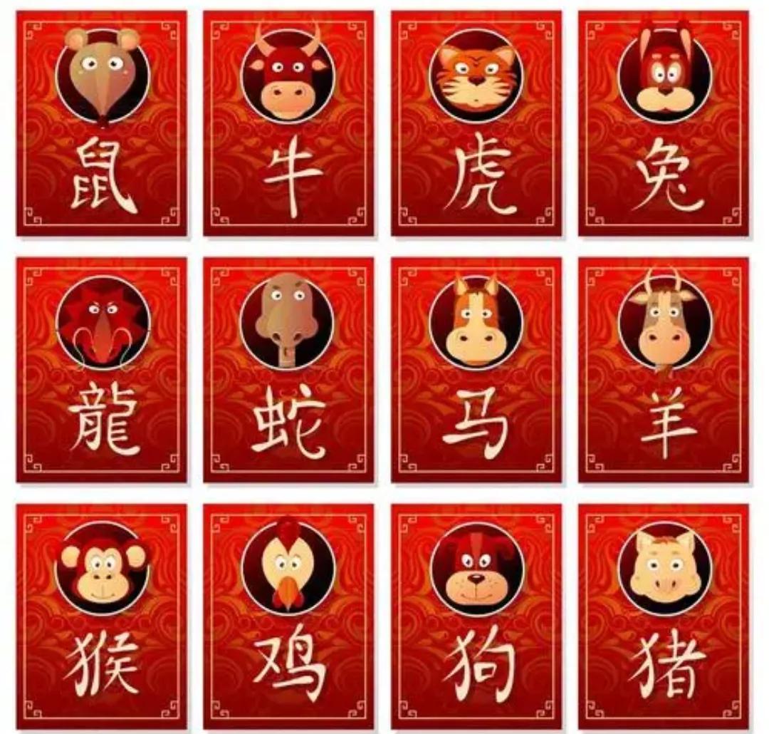 12生肖7岁属什么?_晶羽科技