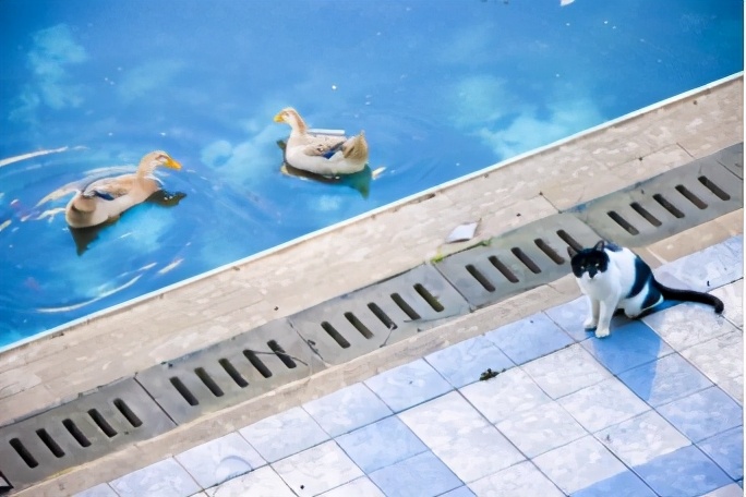 占地2390余亩，重庆这所大学美到被央视新闻