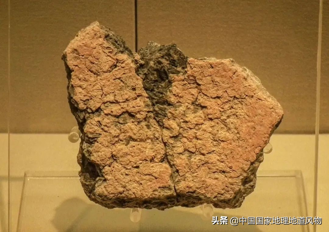 浙江C位，为什么是金华？