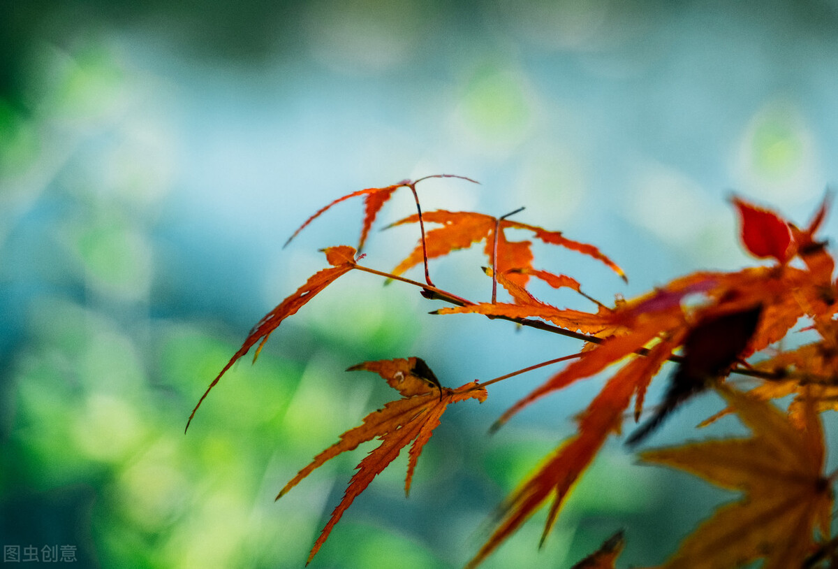 时光未央，静候流年，提笔万水千山，落纸红尘万卷