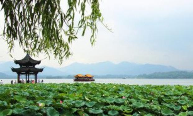 南京中医药大学 浙江中医药大学对比