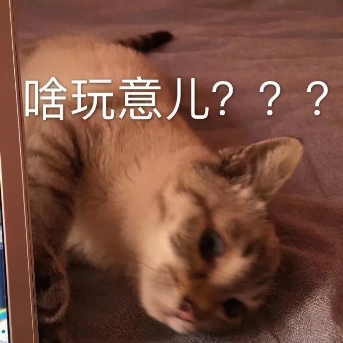 猫咪表情包合集｜嗨，在吗？在吗？在吗？