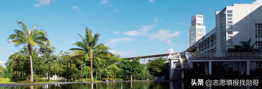 大学新校区“东南飞”成趋势，泄露了哪些秘密？