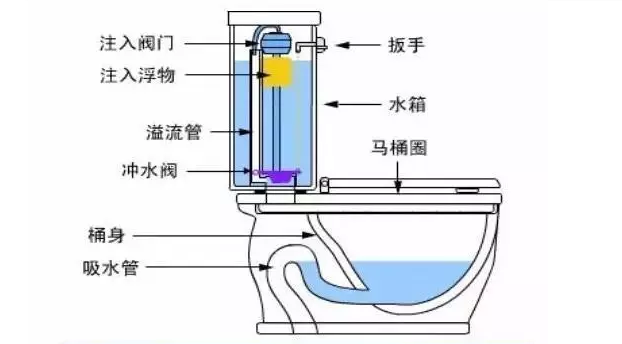 反味、发黄、漏水、堵塞、移位……关于马桶6大问题的解决之道！