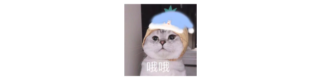 Excel数据录入，高手都是这样做的