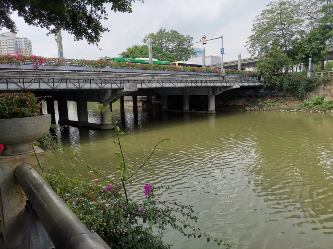 巾帼不让须眉！百米冲刺跳河救人，低调不留名的大姐找到了