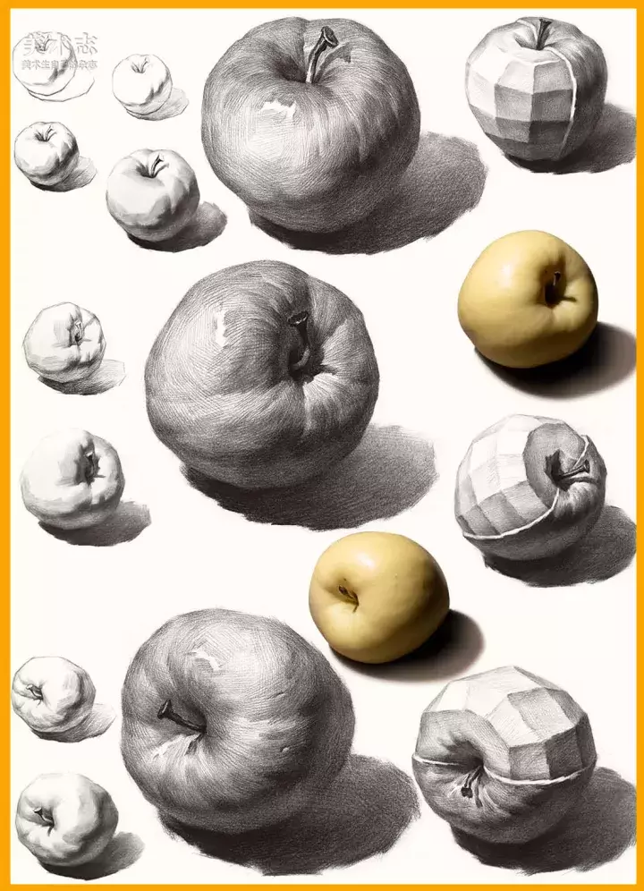绘画~素描 素描静物这两种水果一定要掌握