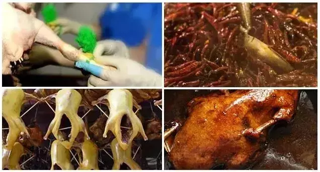 鲜！香！辣！有嚼劲~到湖南必吃的美食“常德一绝”网红酱板鸭！