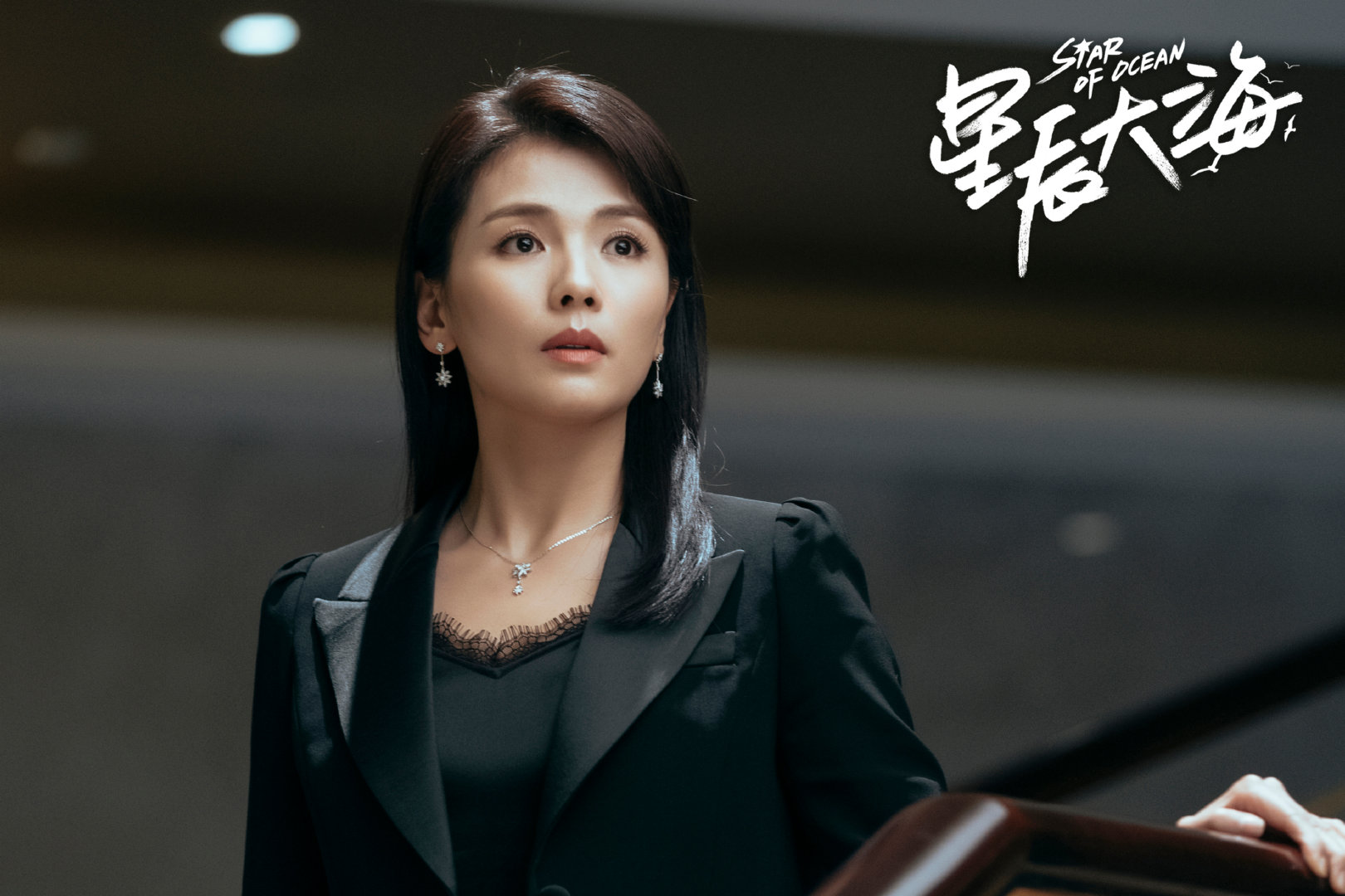 电视剧星辰大海剧情简介十至十五集