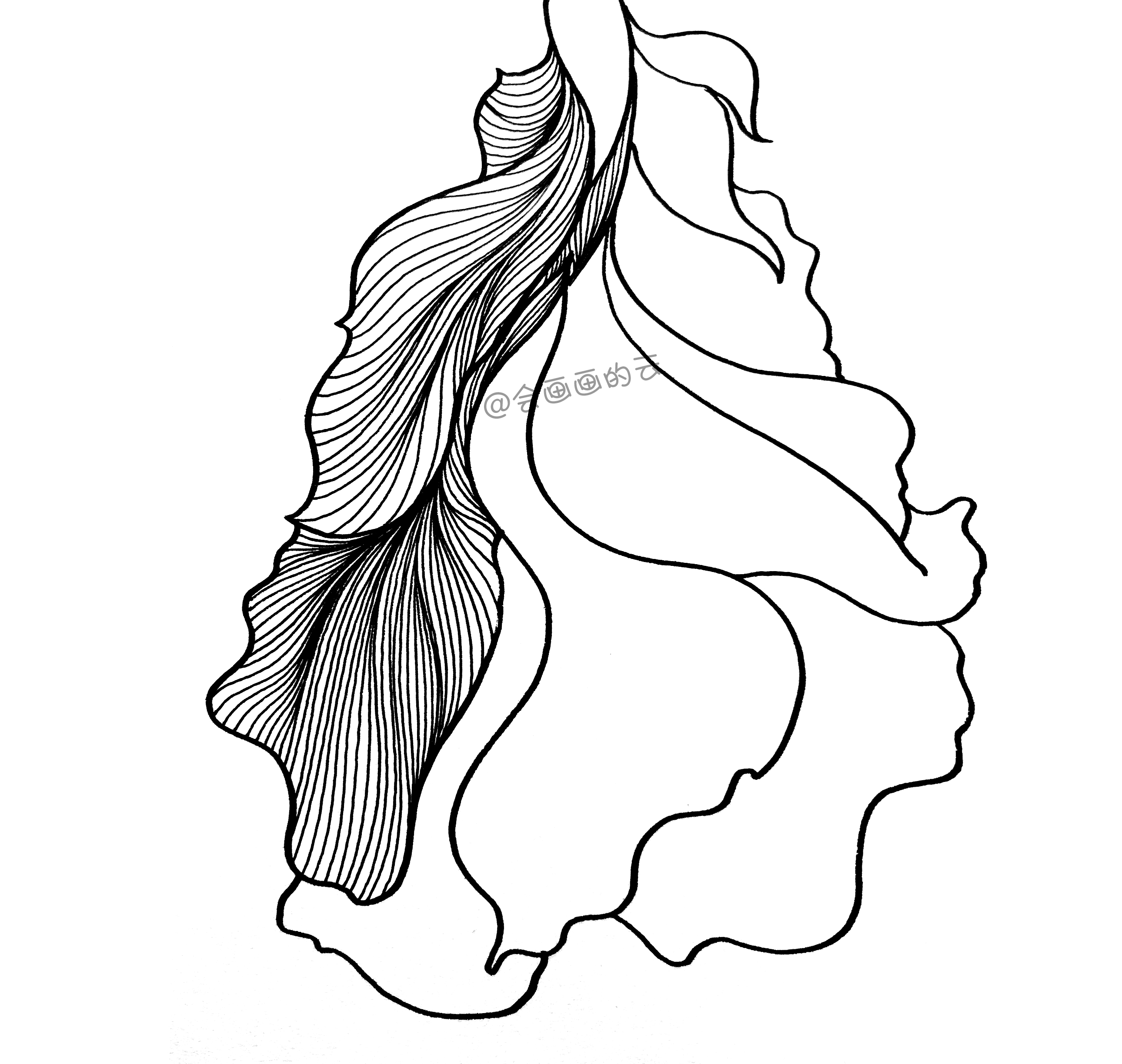 3款简笔画金鱼，零基础也可以画的线描画