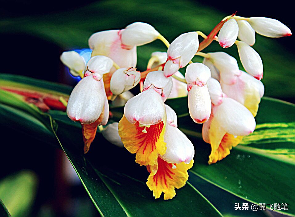 写给女儿十四岁的青春寄语