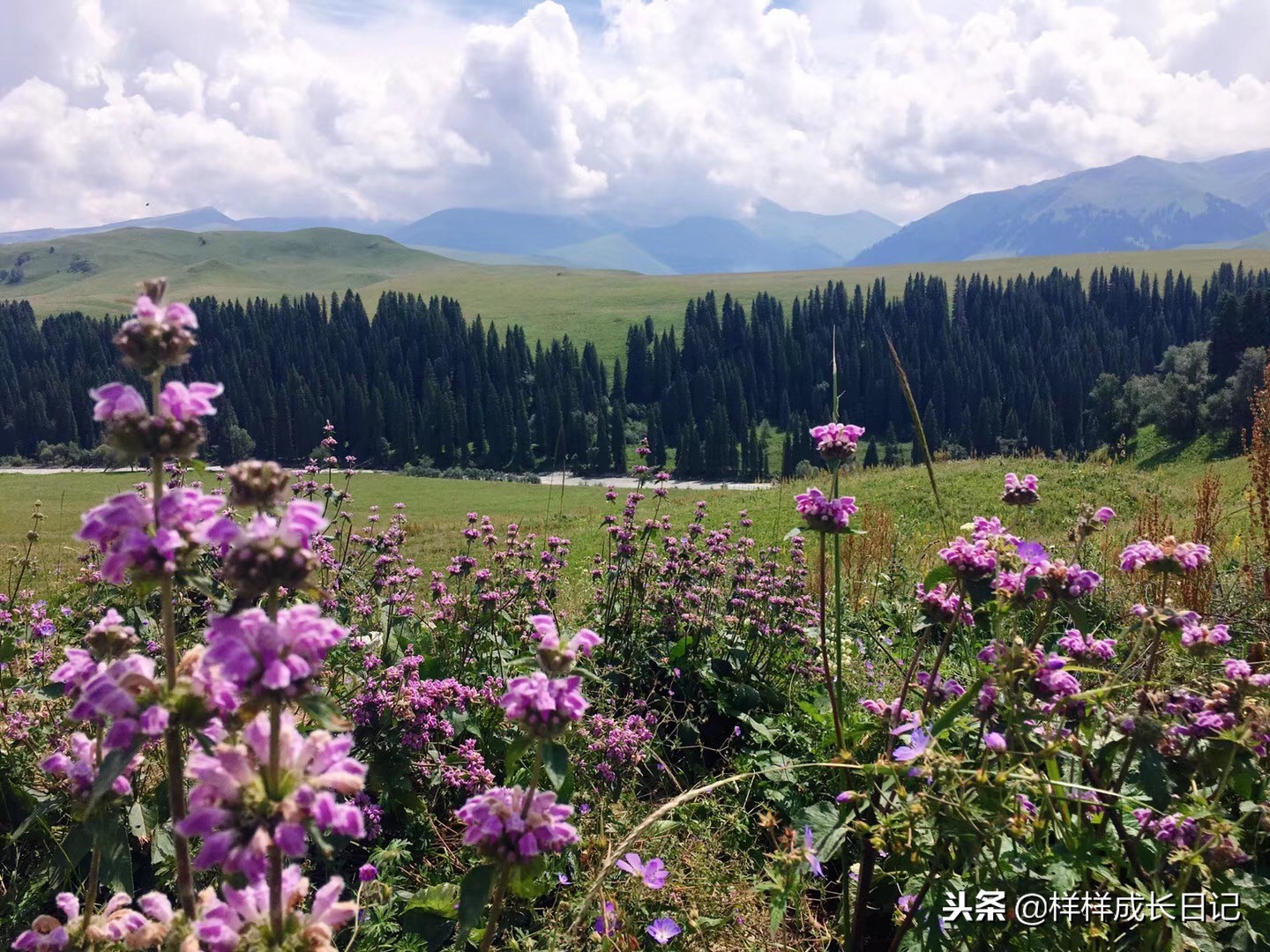 一家三口自驾去新疆，环南北疆27天15000公里，吃住行玩详细攻略