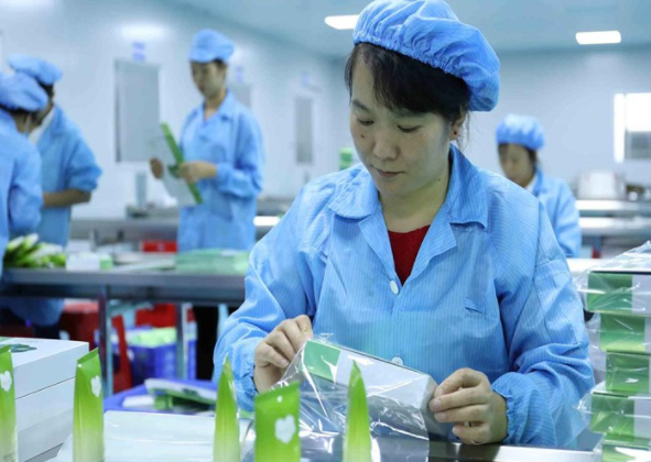 按“工龄退休”或难成现实，教师行业或深受影响，师范生需知晓