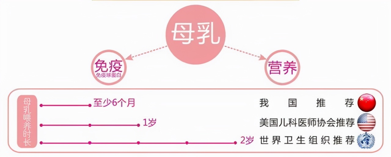 6个月后母乳没有营养？几个月添加辅食才好？这些误区妈妈要了解