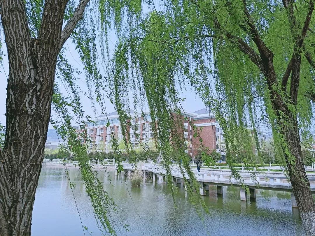 安徽省高校(十四)淮北师范大学