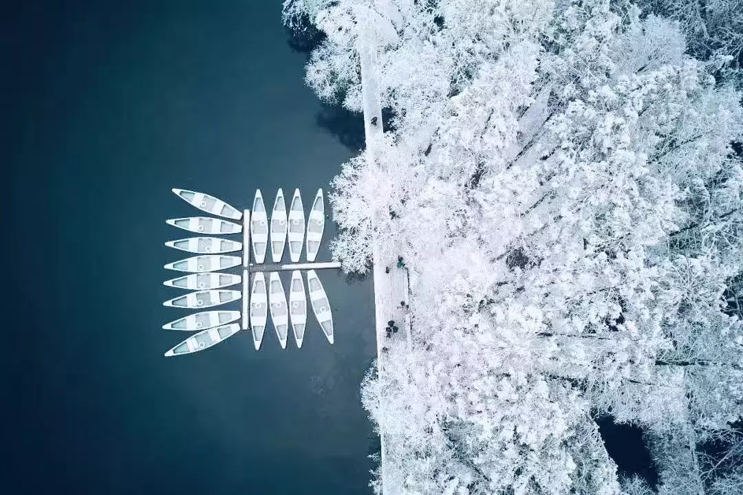 大雪纷飞，孩子们写下的诗句，美好到让人惊艳