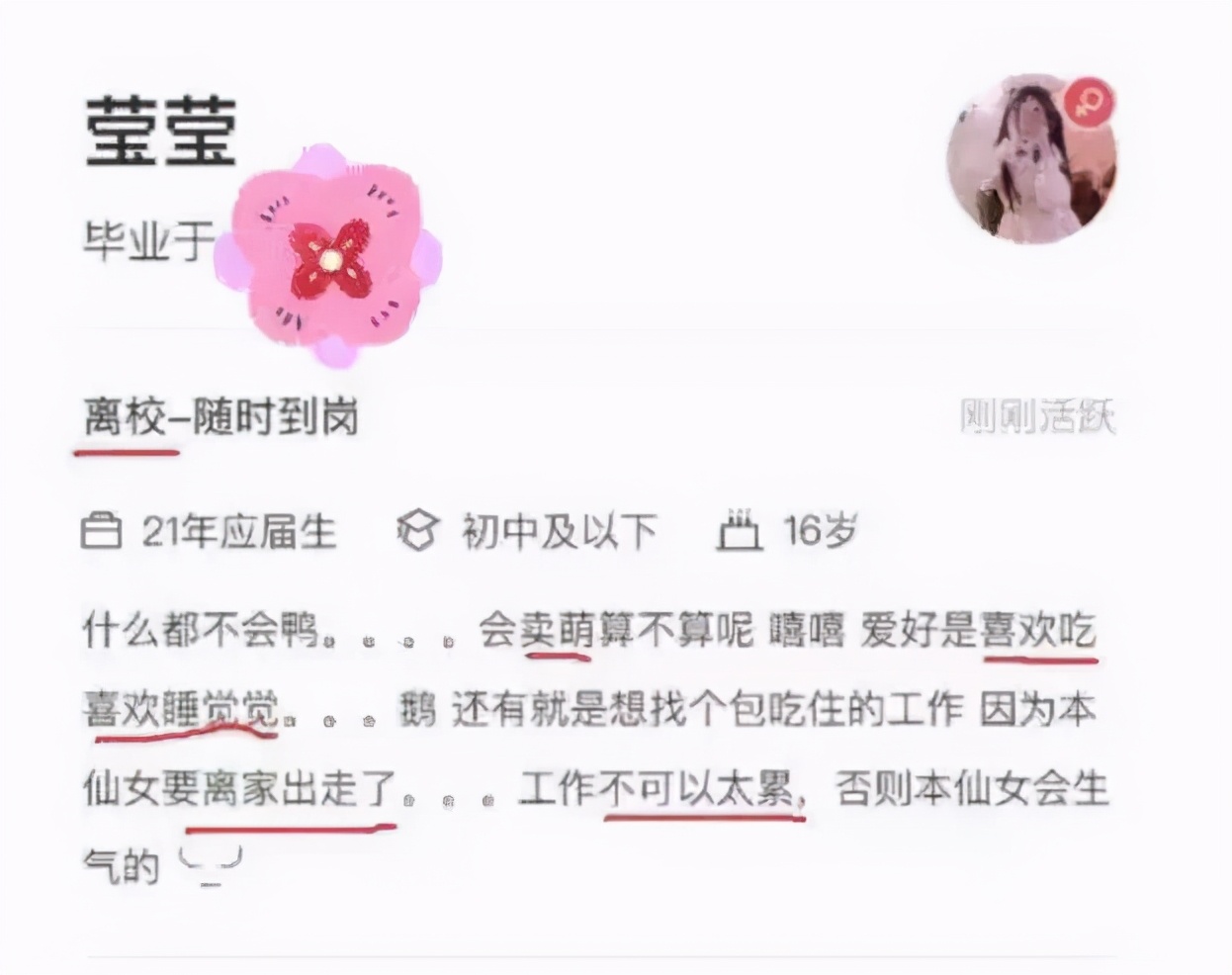 大学生晒出“奇葩”简历，撒娇卖萌不算啥，期望薪资令人诧异