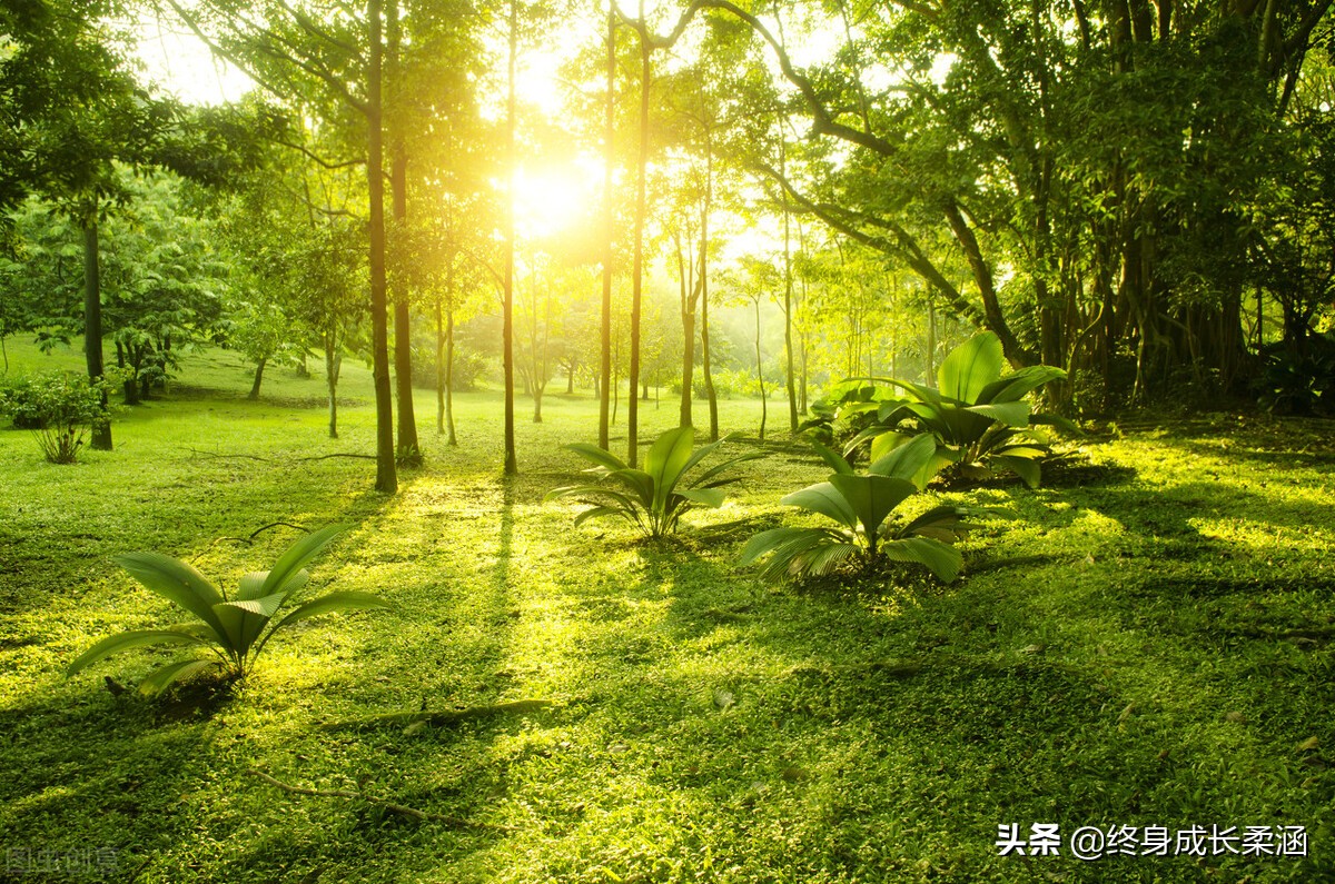 《论语》道德修养之“为政”篇—为政以德，众星共之