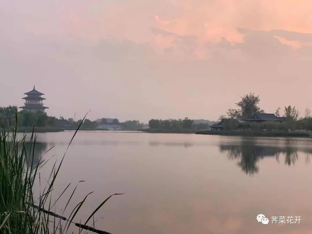 鄠邑故事之刘海戏金蟾