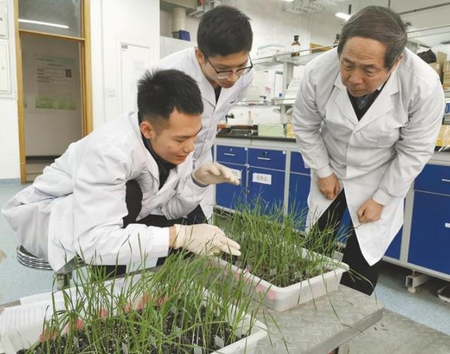 这所211大学实力强悍，却被考生误认为是野鸡大学，只因名字太土