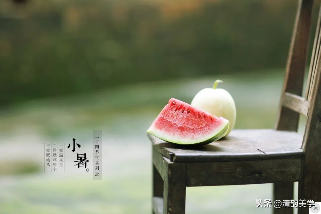 小暑丨风吹荷花香，蝉鸣夏日长