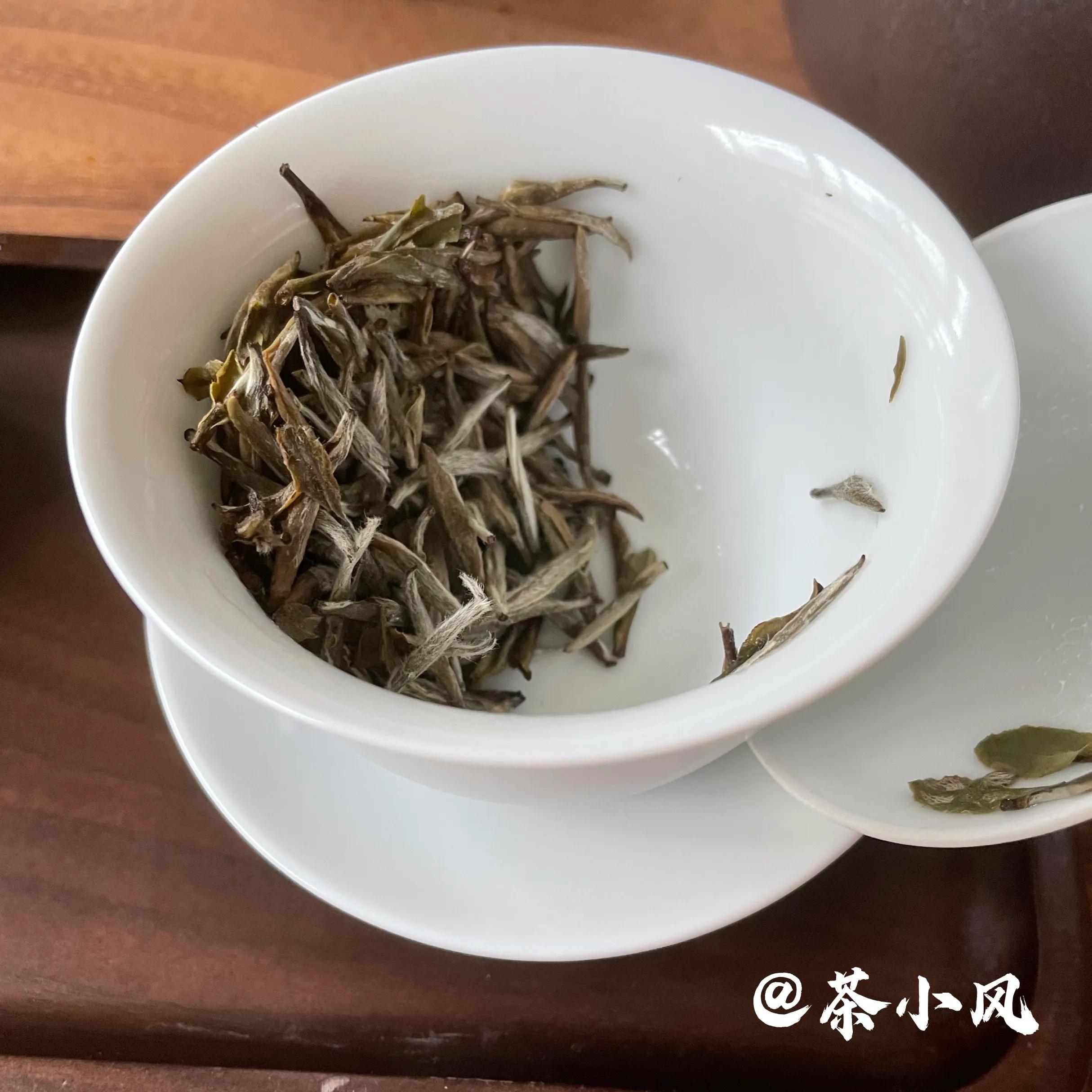 问茶：心静，积极，温暖