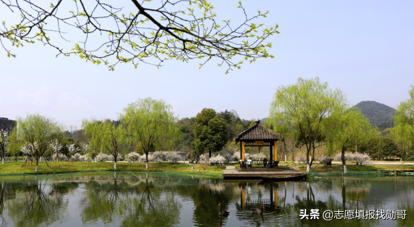 计算机专业最强的11所普通本科，干过211，最有可能晋升双一流