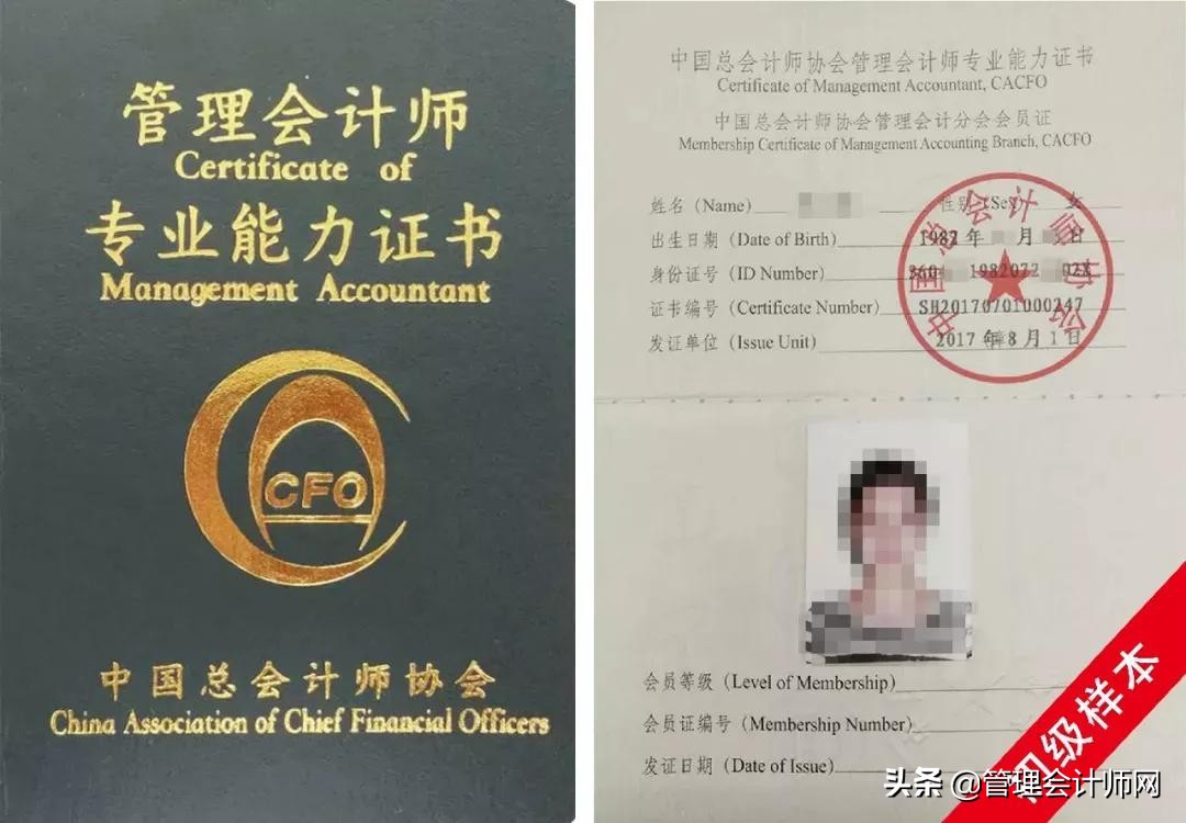 可怕的会计考生！成绩刚公布，439万考试大军选择了这条路