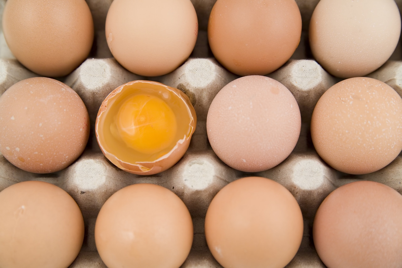 最近的鸡蛋价格也太稳定了，啥时候上涨？附3月17日鸡蛋价格，稳