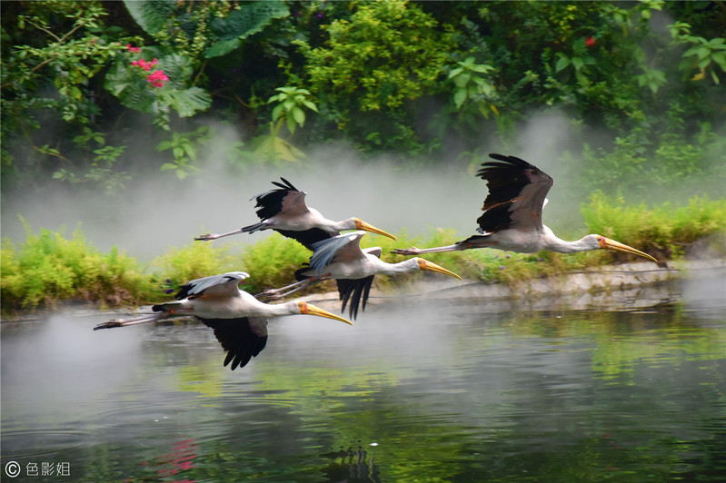 三天三夜欢乐长隆之旅（附攻略）