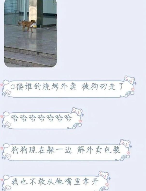 校园“表白墙”翻车现场，说好的爱情却成了段子，差点笑晕过去