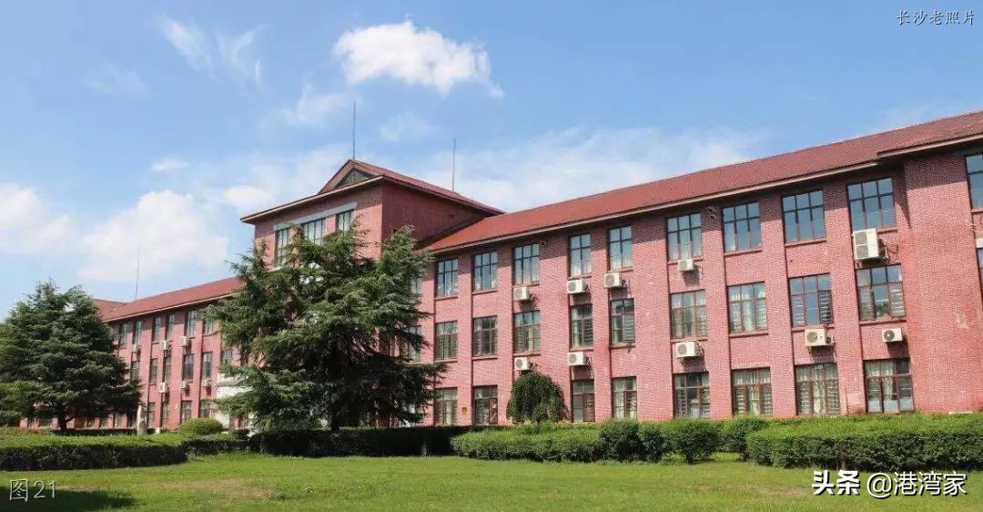 湖南农业大学老照片：思源馆，生命科学楼，红枫马路，图书馆