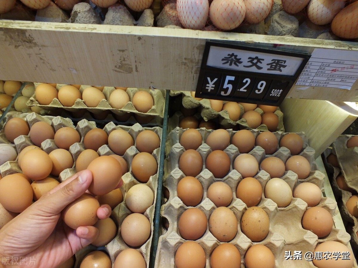 鸡蛋现在多少钱一斤？过年还会涨吗？2021年11月份鸡蛋价格行情