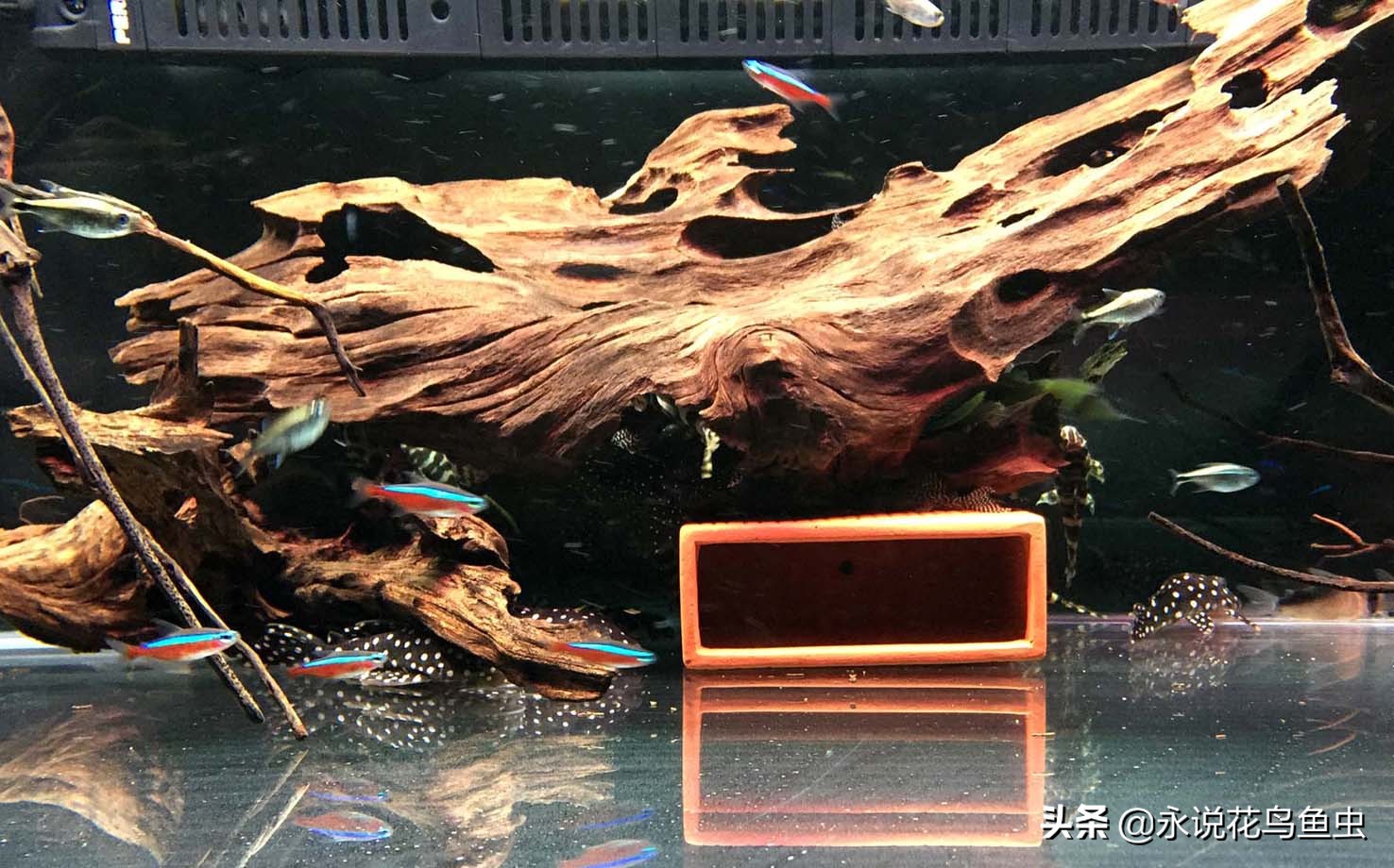 海霸鱼缸价格表(实战讲解) - 价格百科