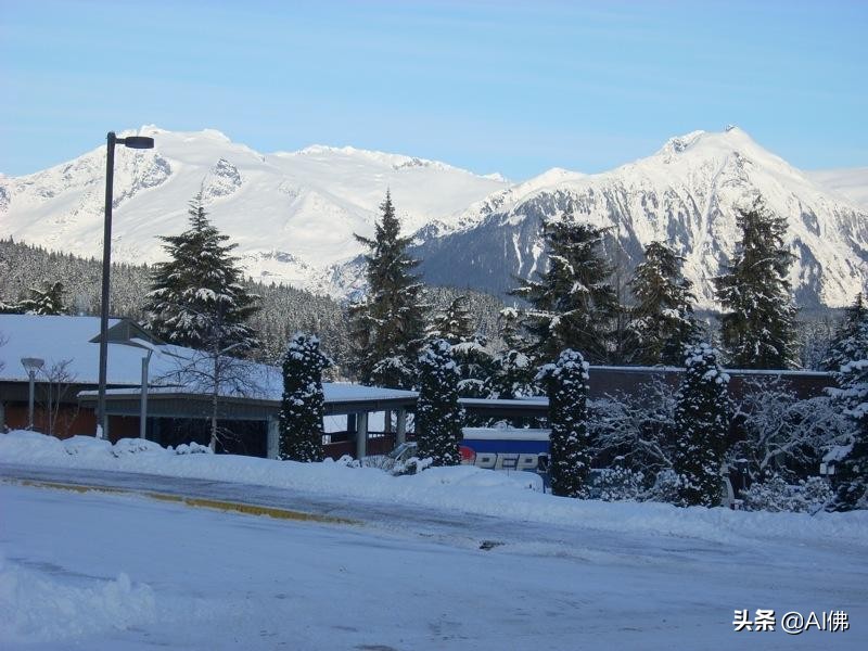 美国每个州最好的大学