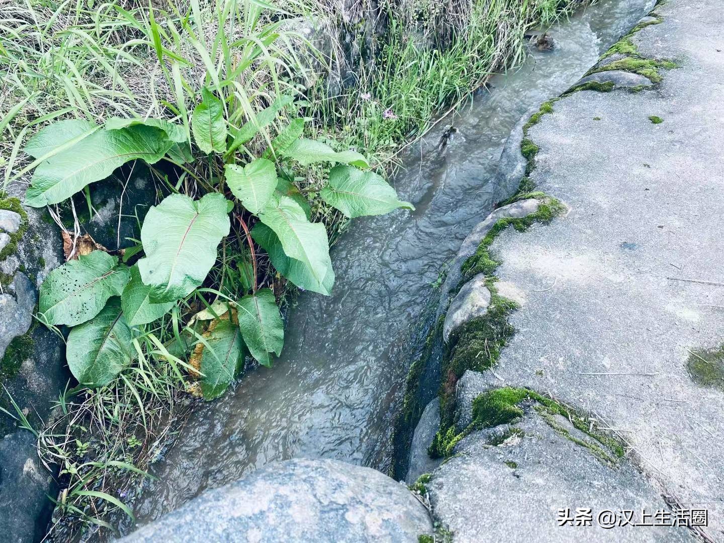 我骑在车上看风景，路边的人在看我，我挥一挥手，不带走一丝云彩